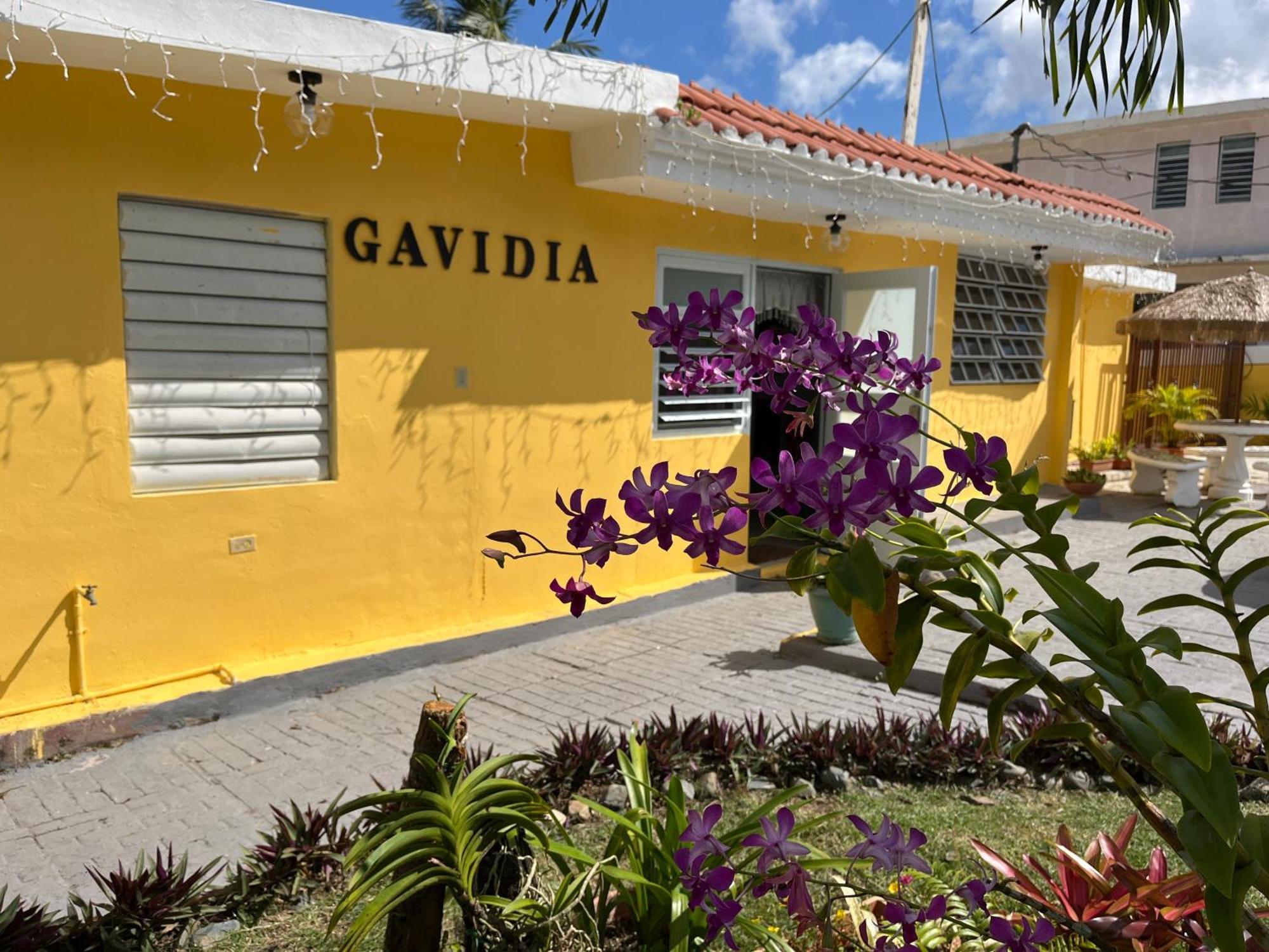 Gavidias Guest House San Lorenzo Exterior photo