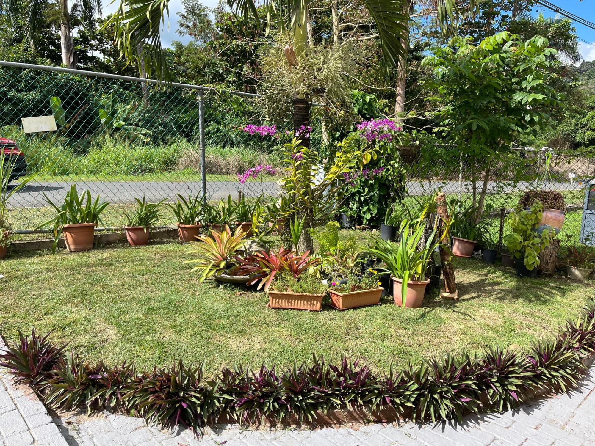 Gavidias Guest House San Lorenzo Exterior photo